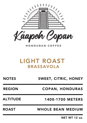 Light Roast Brassavola